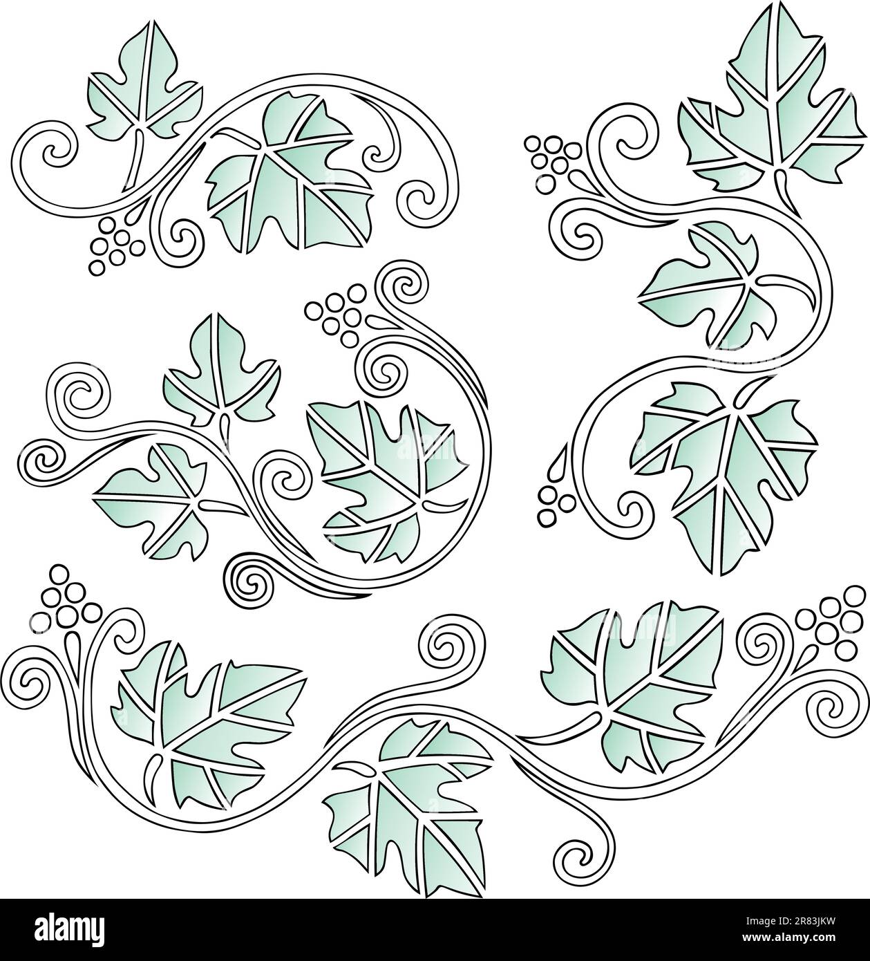 Éléments de dessin de raisin avec feuilles sur fond blanc Illustration de Vecteur