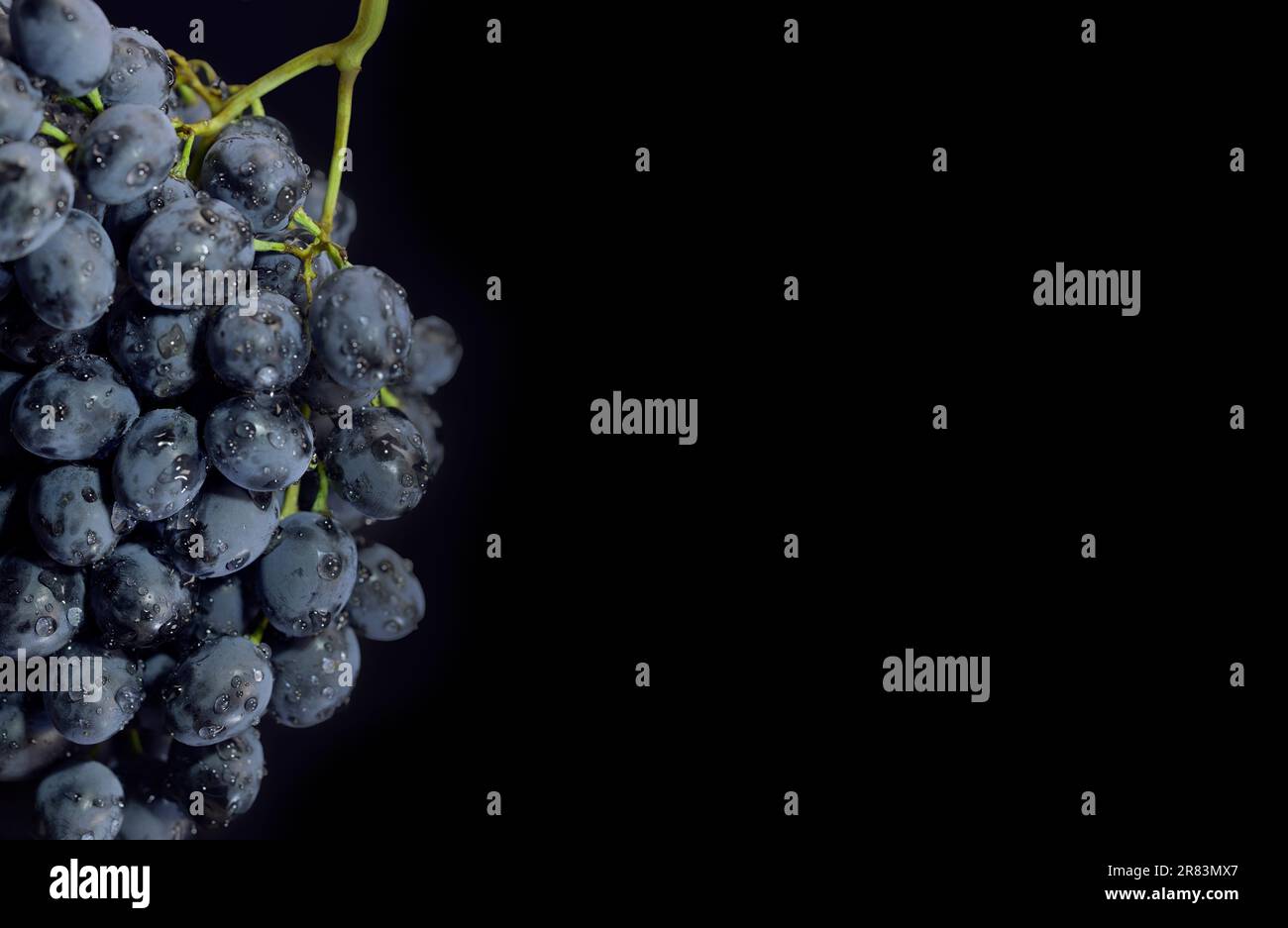 Tas de raisins noirs mûrs avec des gouttes d'eau isolé sur fond noir Banque D'Images
