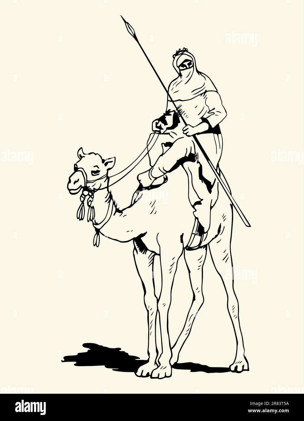 Tuareg Camel Rider sur fond de couleur Illustration de Vecteur
