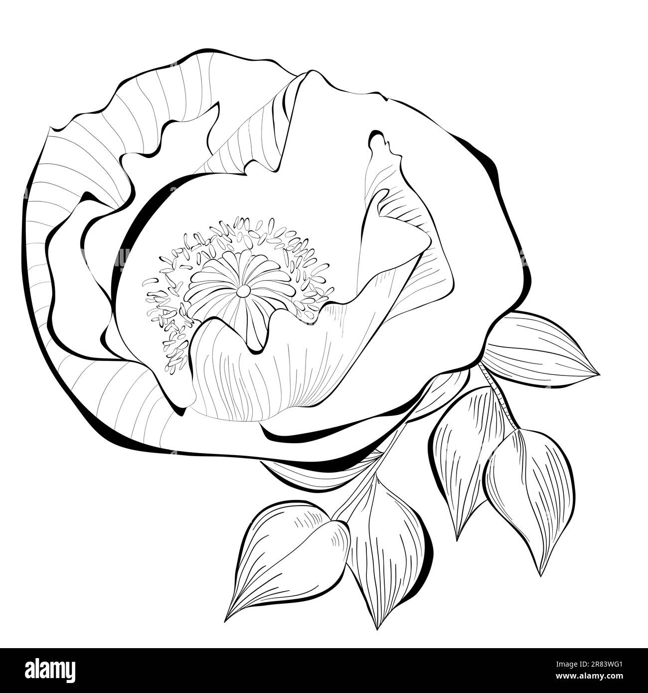 Illustration noire et blanche de la fleur stylisée Illustration de Vecteur