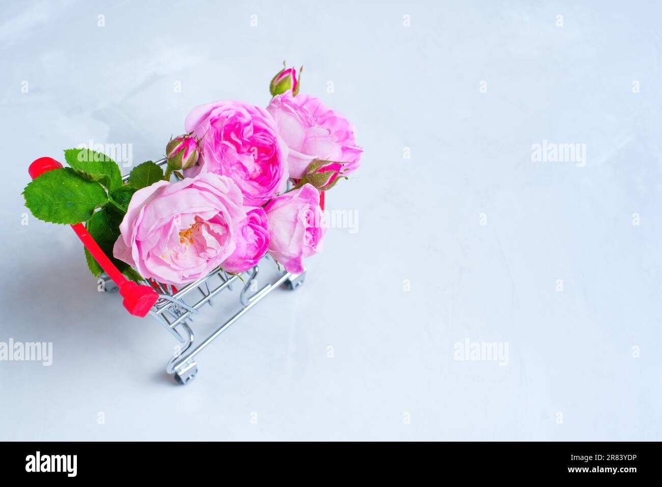 Gros plan d'un délicat bouquet de roses en fleurs dans un chariot miniature isolé sur fond gris. Toile de fond liée aux cosmétiques. Banque D'Images