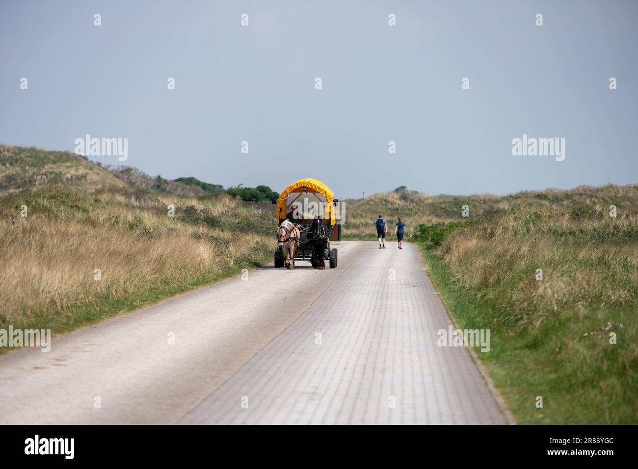 Île de Juist Allemagne. Insel Juist, Wattenmeer der Nordsee Banque D'Images