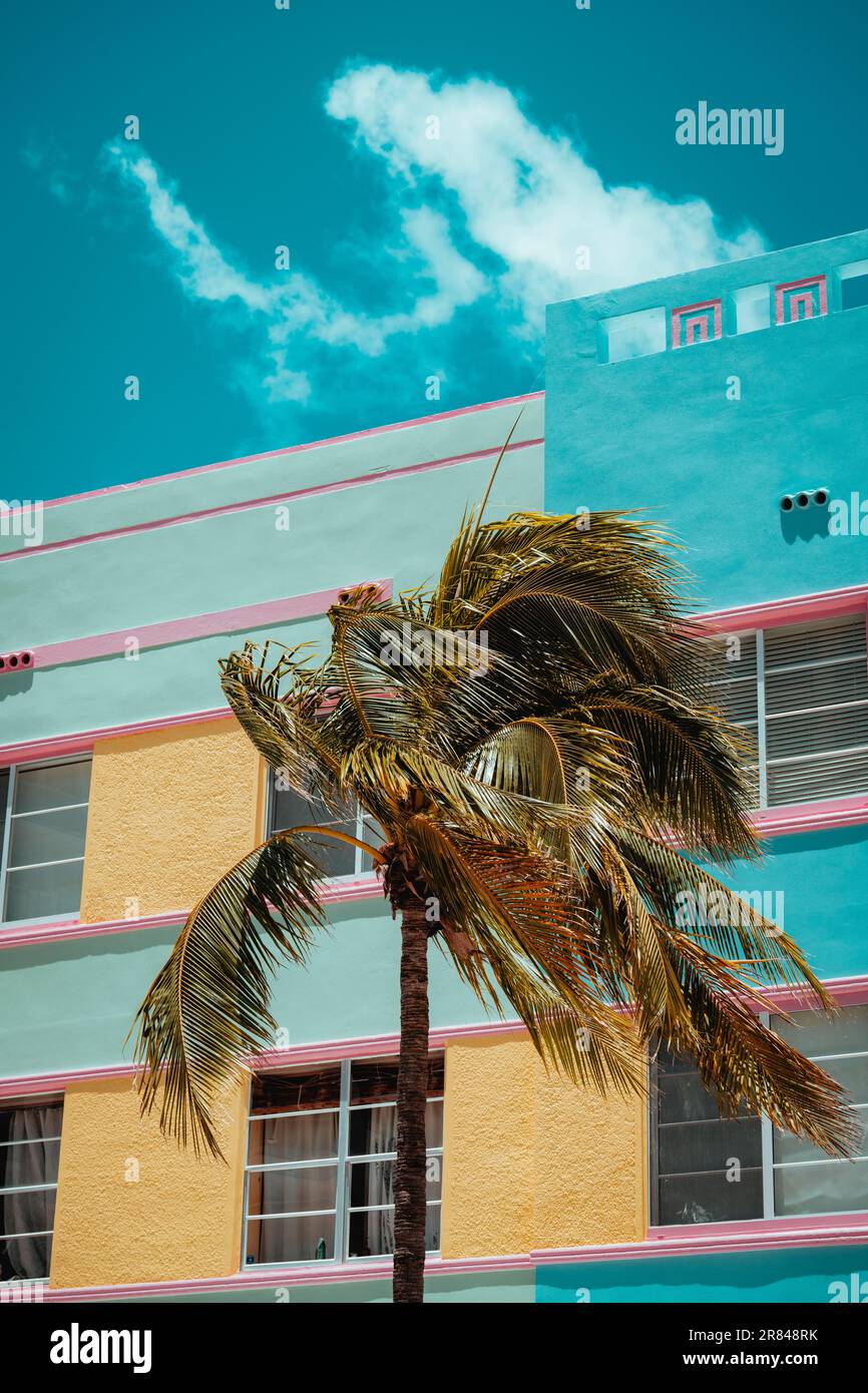 hôtel de plage Miami Beach Palm Banque D'Images