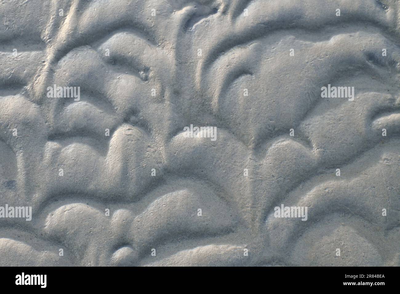 Structure dans le sable fait par les vagues. Vue sur le sol à marée basse. Photo de la nature de la côte Banque D'Images