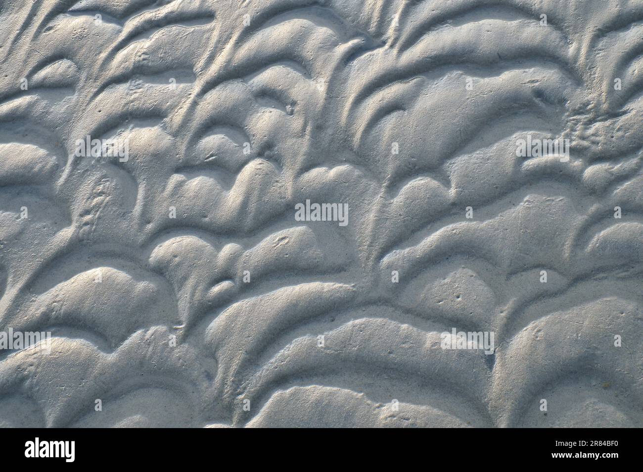 Structure dans le sable fait par les vagues. Vue sur le sol à marée basse. Photo de la nature de la côte Banque D'Images