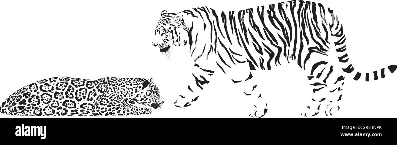 Tigre et léopard Illustration de Vecteur