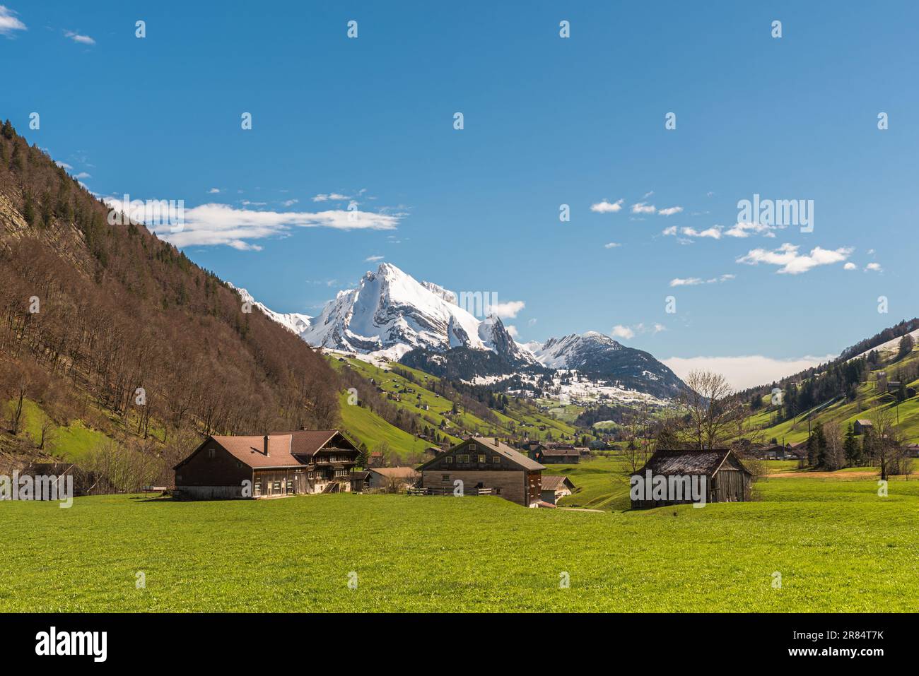 Vallée de Toggenburg avec vue sur Wildhuser Schafberg, rue Wildhaus-Alt Johann, Canton St. Gallen, Suisse Banque D'Images