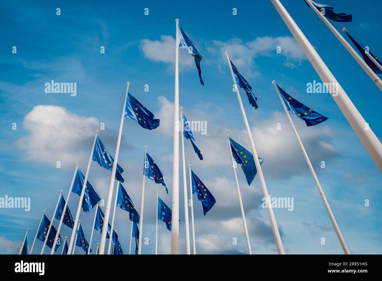 Drapeaux de l'Union européenne Banque D'Images