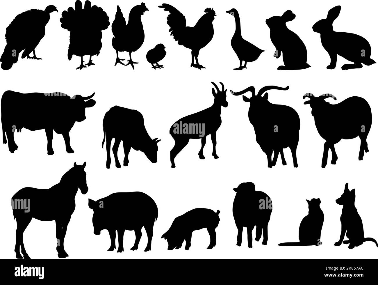 Collection silhouettes animaux de ferme domestiques et oiseaux de volaille. Illustration vectorielle. Main isolée dessins animaux sur fond blanc pour la conception Illustration de Vecteur