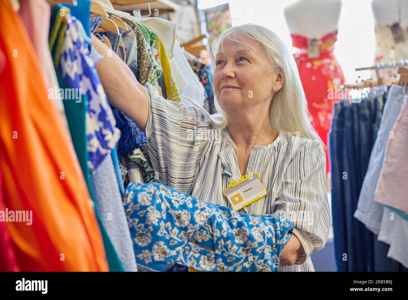 Femme bénévole senior travaillant dans la boutique de bienfaisance ou dans le magasin Thrift vendant des vêtements d'occasion et durables Banque D'Images