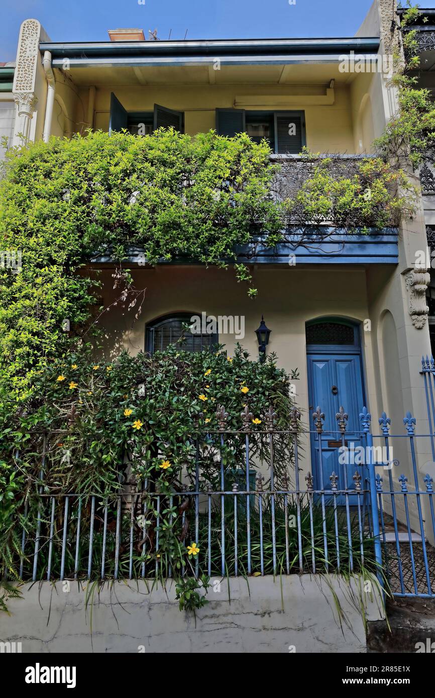 692 maison victorienne en terrasse de style filigree avec porte bleue et véranda en fonte sur Ormond Street, Paddington. Sydney-Australie. Banque D'Images