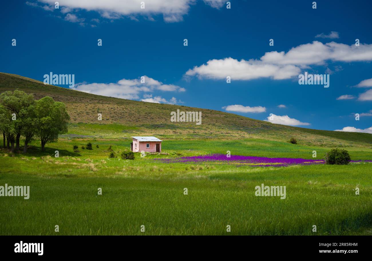 Un petit cottage en dehors de la ville. Une vue sur le jardin de loisirs dans la campagne. Banque D'Images