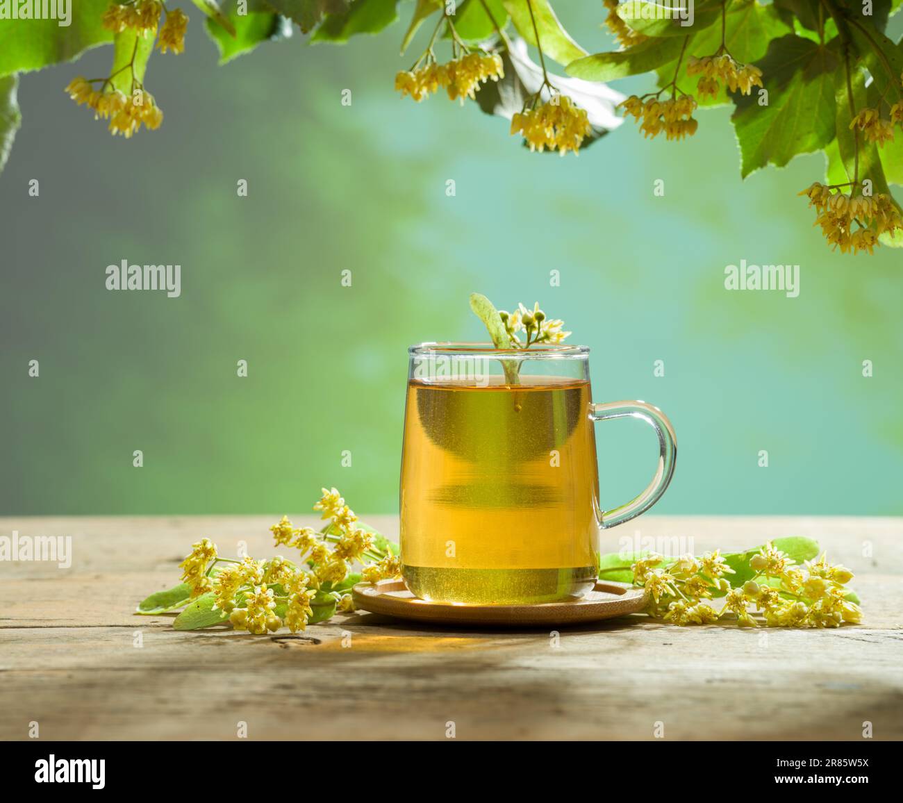 Un verre de thé au tilleul sur la table sous le tilleul. Tisanes d'hiver saines. Banque D'Images