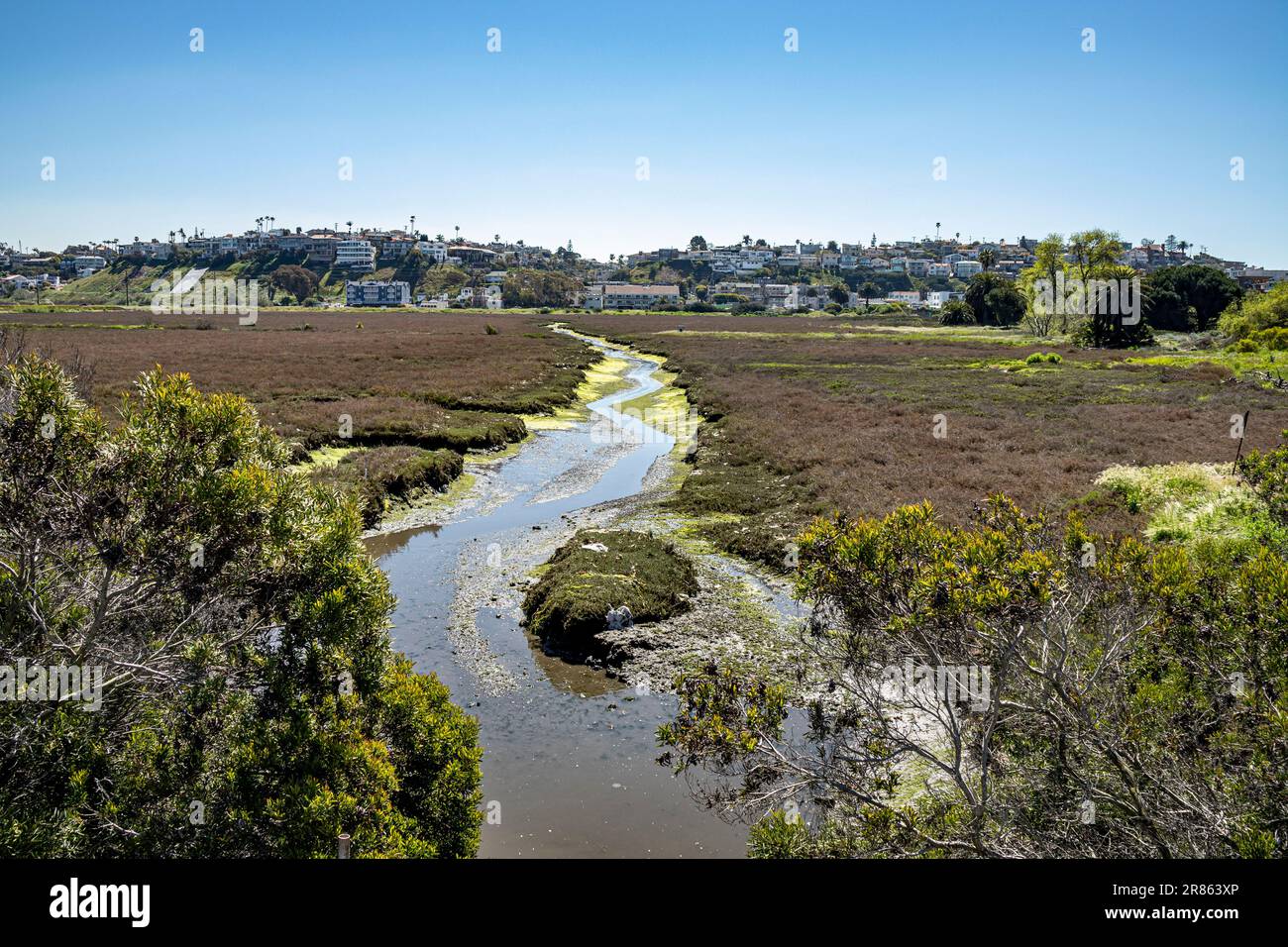 Ballona Wetlands après de fortes pluies, Playa Del Rey, Los Angeles, Californie, Etats-Unis Banque D'Images