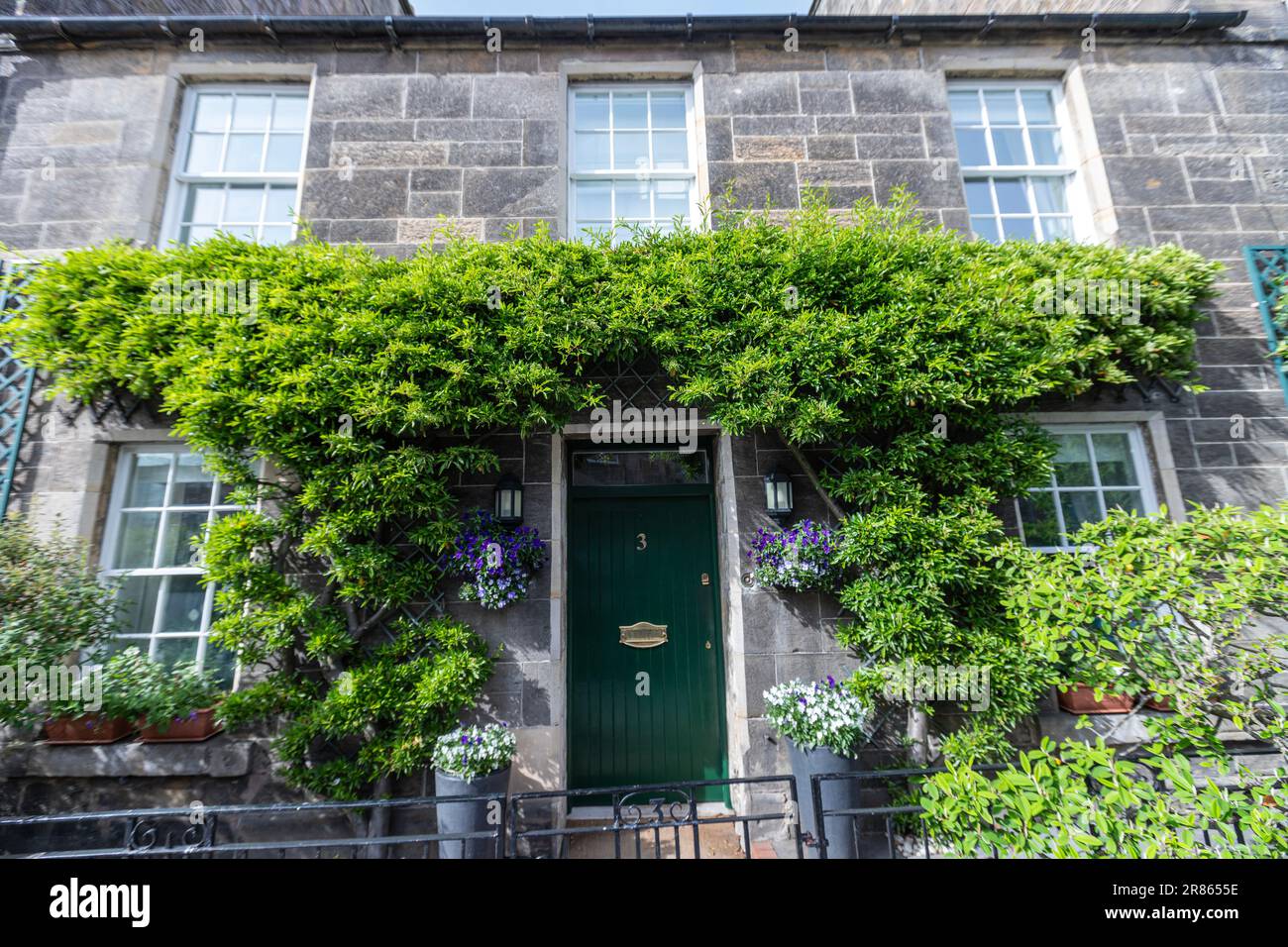 Maison en pierre avec végétation sur le mur, St Andrews, Fife , Écosse, Royaume-Uni Banque D'Images