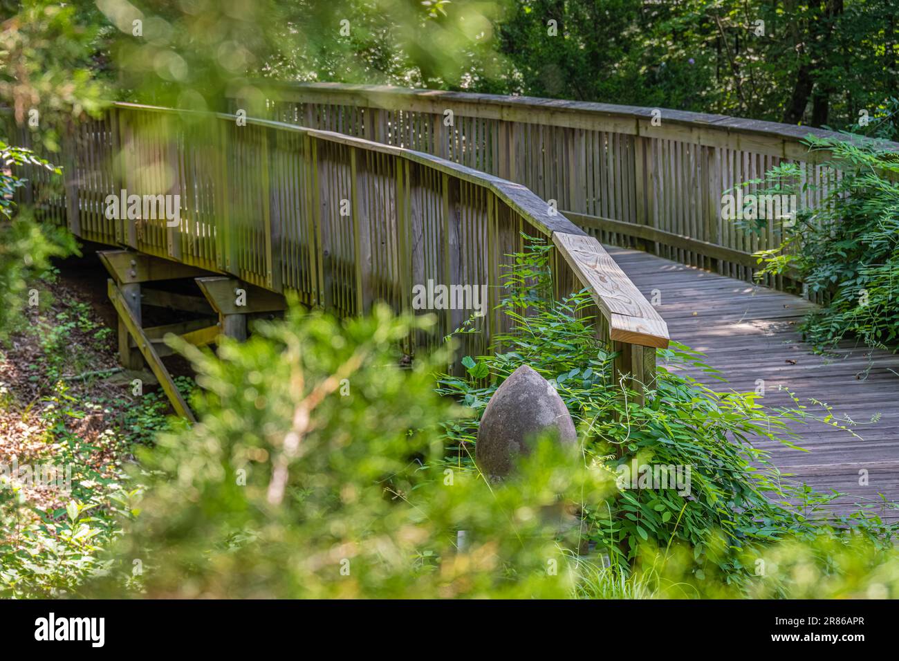 Pont d'Acorn entre le jardin de méditation et le jardin des fleurs du jardin botanique d'État de Géorgie à Athènes, Géorgie. (ÉTATS-UNIS) Banque D'Images