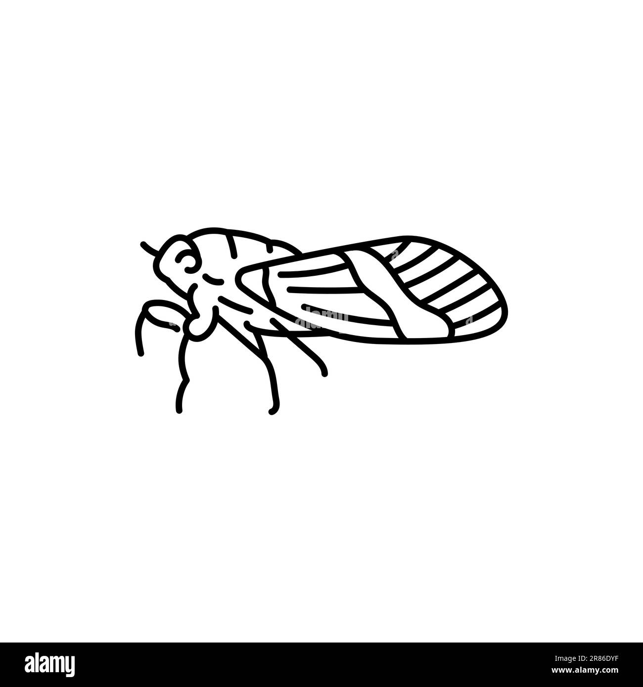 Icône Cicada en ligne noire. Pictogramme pour page Web, application mobile, Promo. Illustration de Vecteur