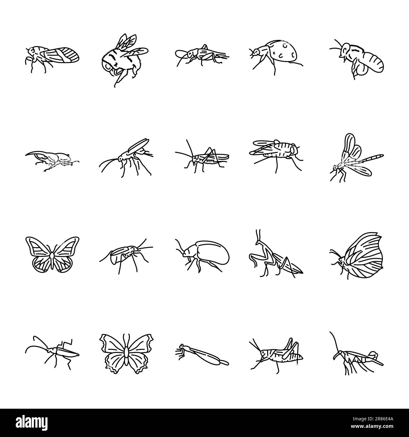 Insectes ligne noire icônes ensemble . Pictogrammes pour la page Web, l'application mobile, la promotion. Illustration de Vecteur