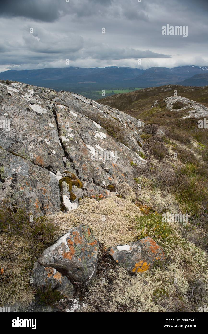 Les montagnes Cairngorm, vues depuis Craigellachie, Aviemore, Écosse Banque D'Images