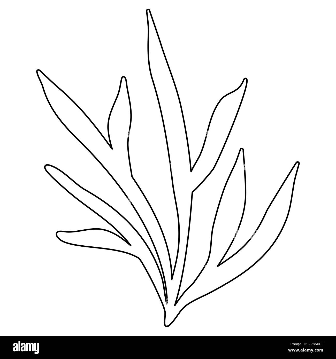 Algues ou plante d'eau d'aquarium, plantation sous-marine, dessin vectoriel plat style doodle pour enfants livre de coloriage Illustration de Vecteur
