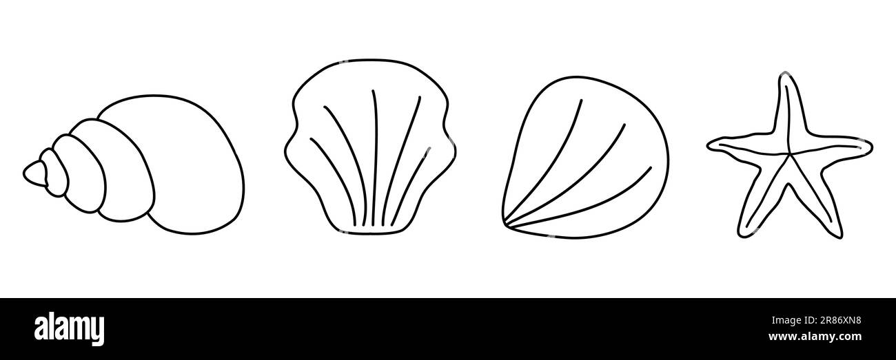 Différentes coquillages de mer et étoile de mer dans une rangée, le style doodle dessin vectoriel plat pour enfants livre de coloriage Illustration de Vecteur