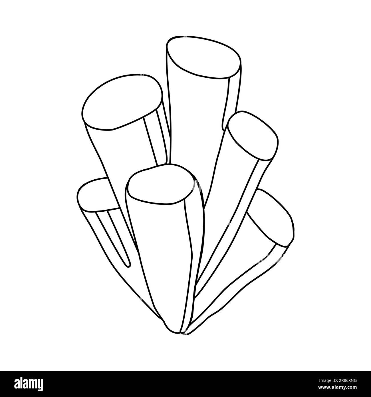 Algues ou plante d'eau d'aquarium, modèle de doodle vecteur plat illustration pour enfants livre de coloriage Illustration de Vecteur