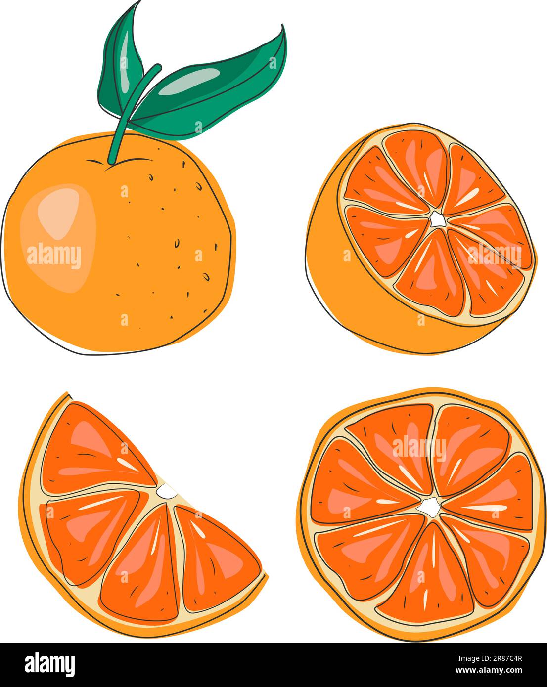 Oranges, fruits et feuilles. Illustration vectorielle plate. Illustration de Vecteur