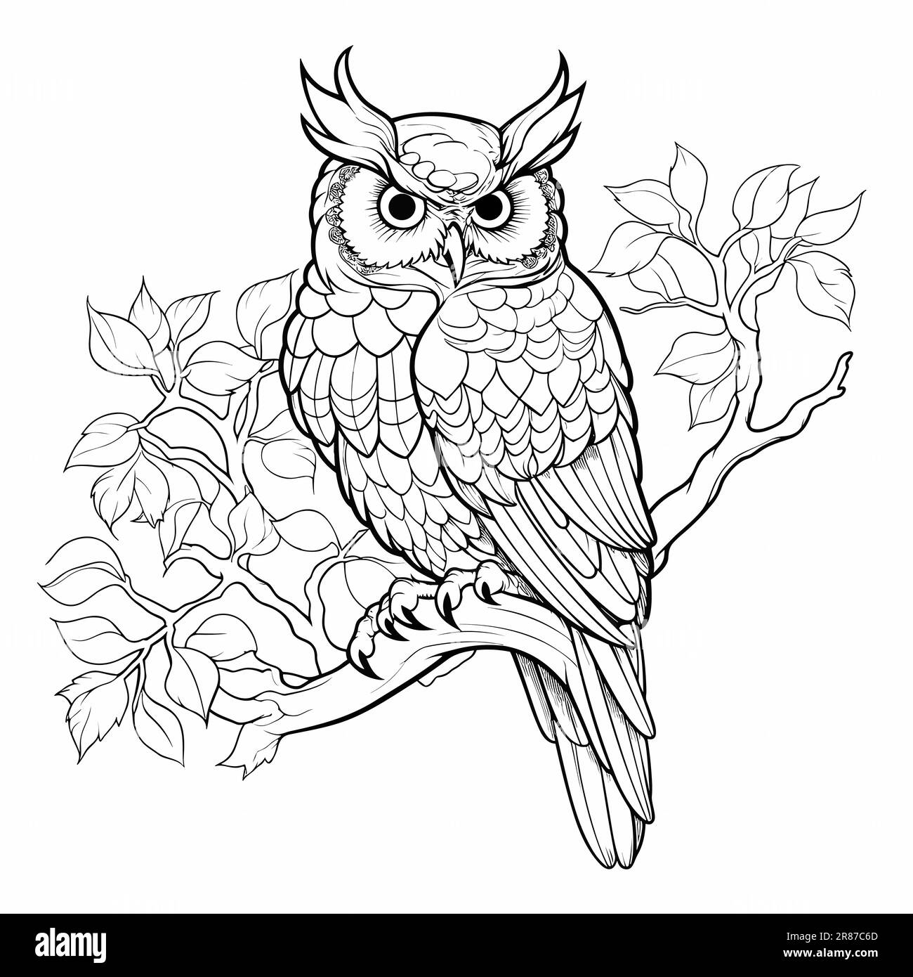 Un hibou assis sur une branche, livre de coloriage imprimable dessin vectoriel de ligne de page, isolé sur un fond blanc. Illustration de Vecteur