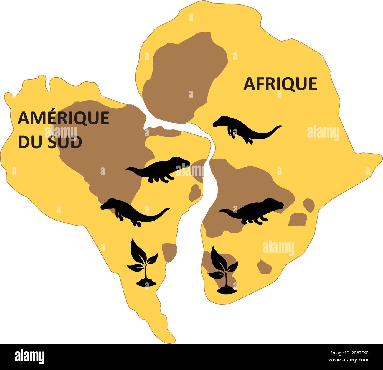 Les preuves de la dérive continentale. La répartition des fossiles anciens, des roches et des chaînes de montagnes, et les emplacements des anciennes zones climatiques. Illustration de Vecteur