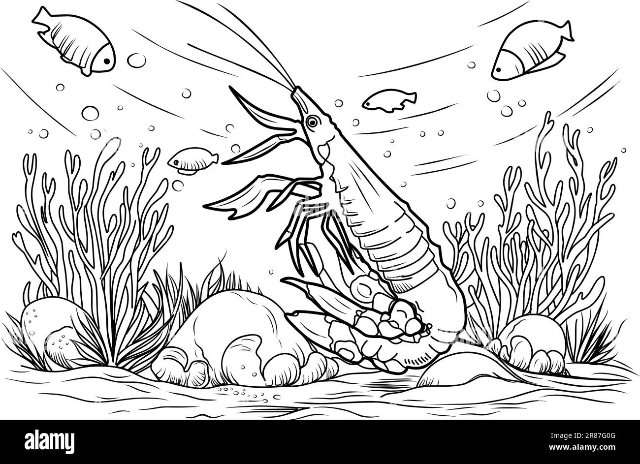 Livre de coloriage aux crevettes. Page de coloriage simple ligne d'illustration des crevettes et du monde sous-marin Illustration de Vecteur