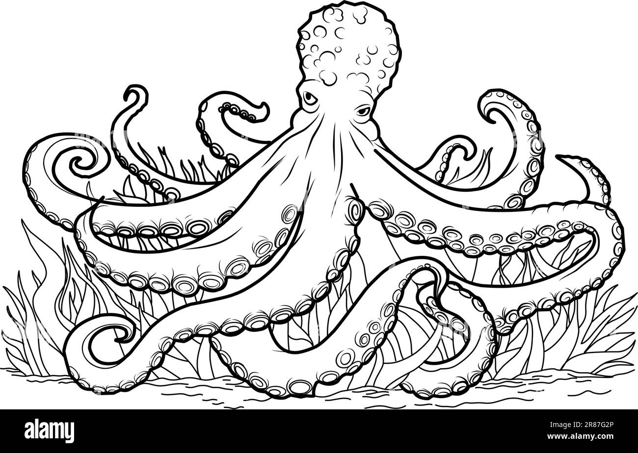 Livre De Coloriage De Poulpe Page De Coloriage Simple Ligne D livre-de-coloriage-de-poulpe-page-de-coloriage-simple-ligne-d