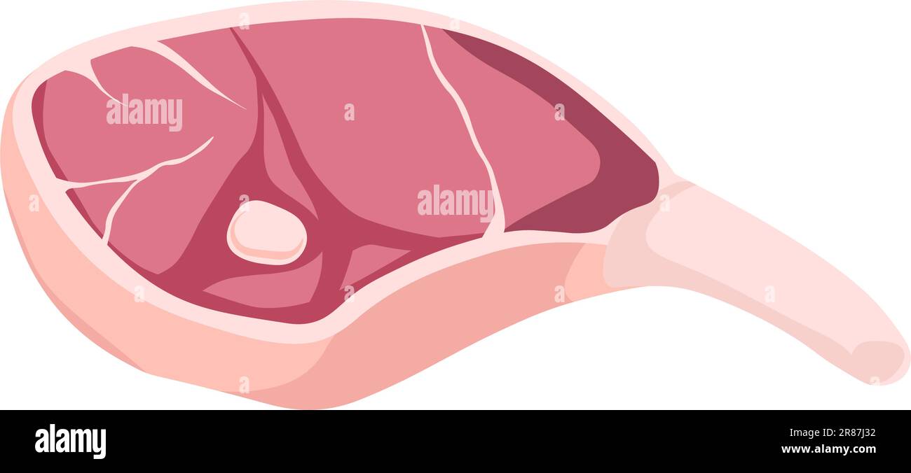 Viande, steak frais pour griller Vector Illustration de Vecteur