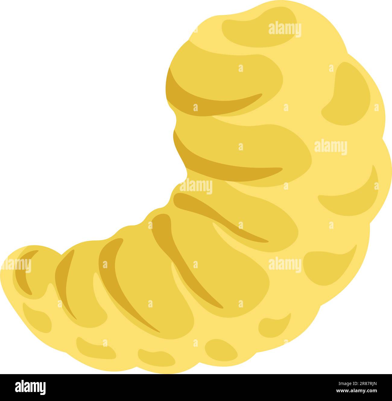 Larves d'abeilles grub, biologie de base du vecteur d'abeilles Illustration de Vecteur