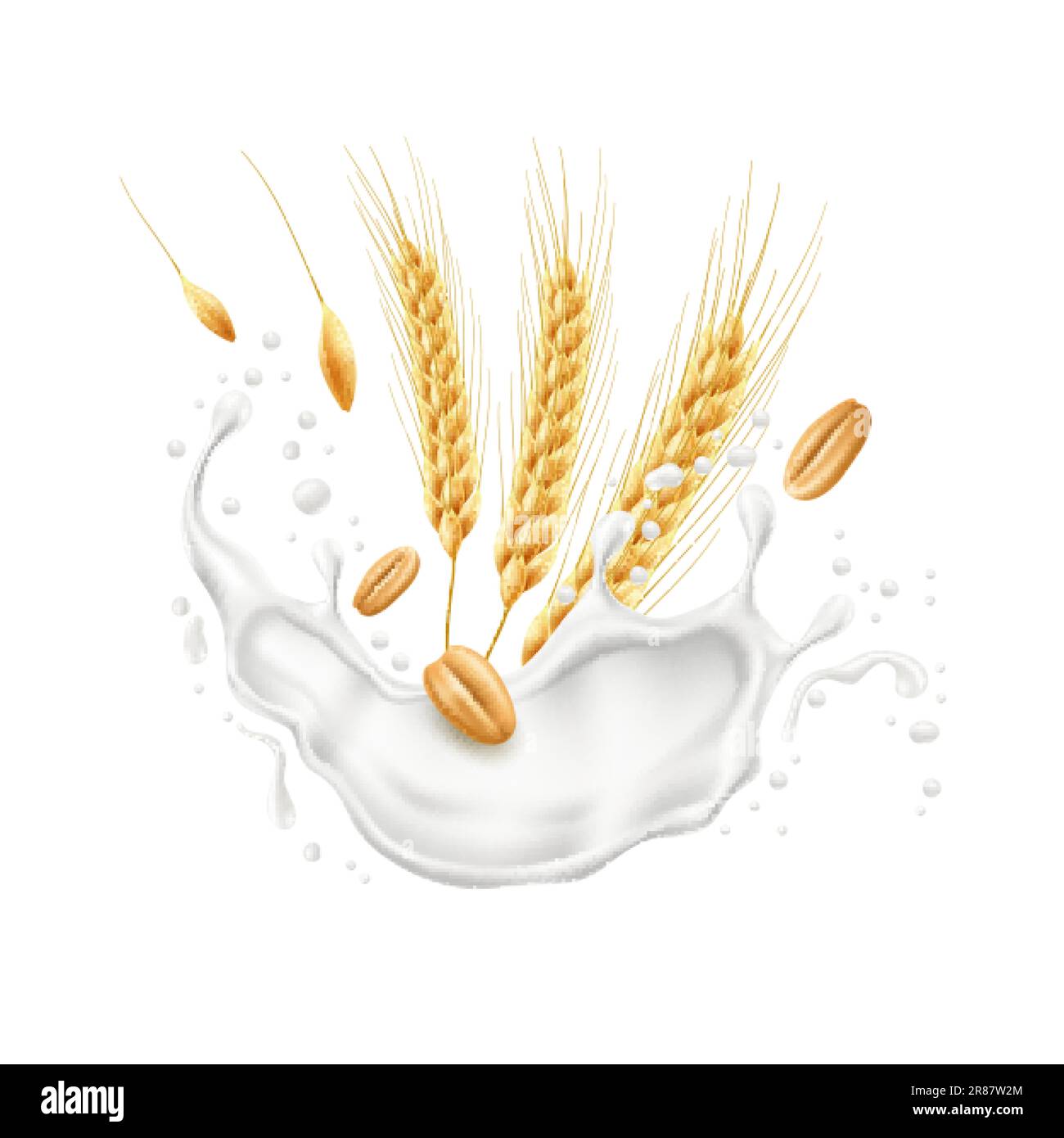 Oreilles de blé réalistes avec éclaboussures de lait. Culture agricole, épillets et céréales, éclaboussures volantes et gouttes de yaourt, flocons à la crème. En bonne santé Illustration de Vecteur