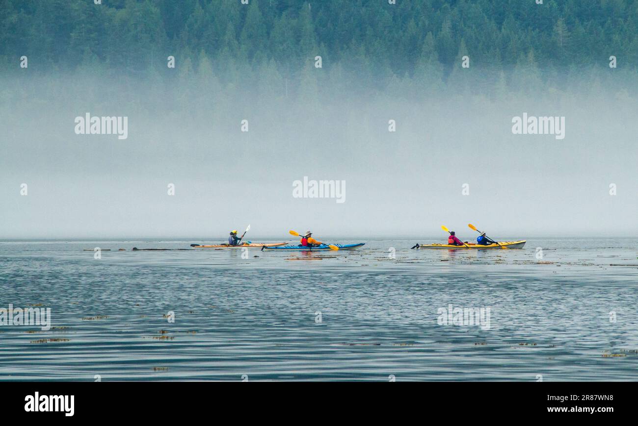 Kayakistes de Hardy dans un matin d'automne frais dans le chenal Okisollo, côte ouest de la Colombie-Britannique, Canada. Banque D'Images