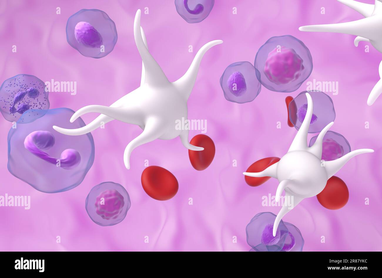 Thrombocythémie essentielle (et), un cancer du sang par la surproduction de plaquettes (thrombocytes) - vue rapprochée 3D illustration Banque D'Images