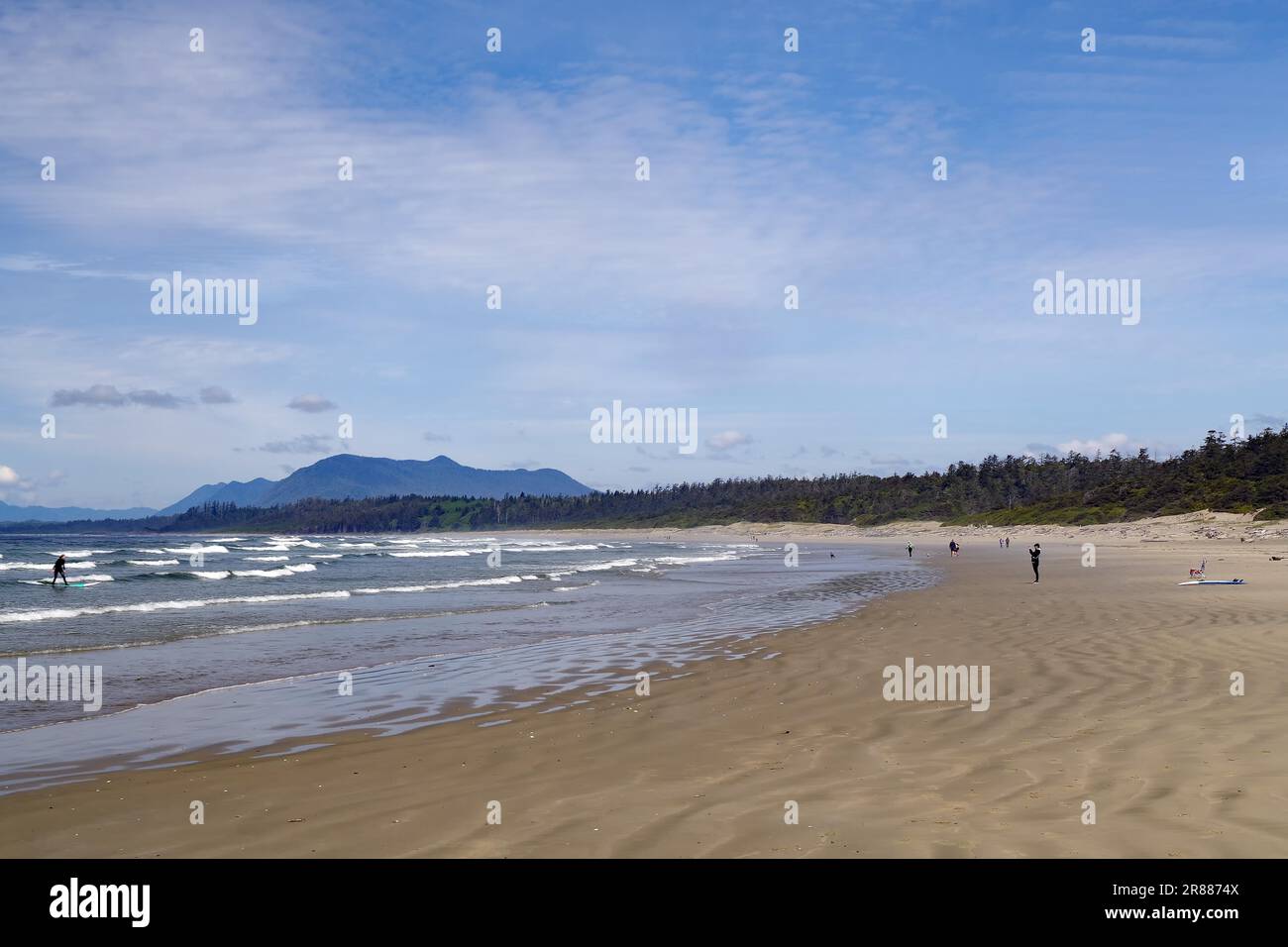 Longue plage de sable avec peu de personnes, Tofino, forêt vierge, parc national, Pacifique, Île de Vancouver, Colombie-Britannique, Canada Banque D'Images