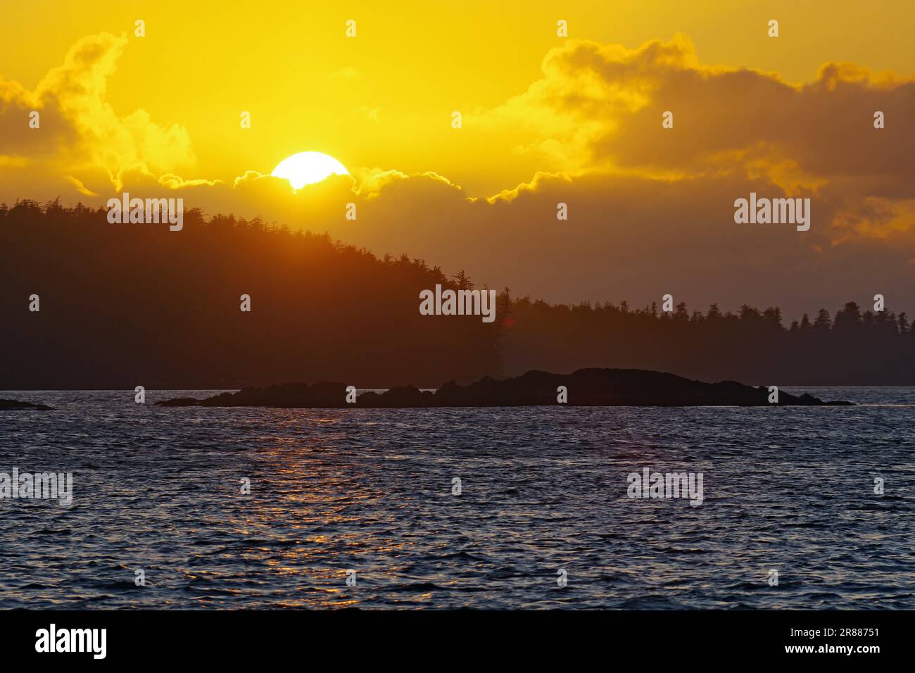 Coucher de soleil sur Tofino, forêt vierge, tourisme, Tofino, île de Vancouver, Parc national, Pacifique, Colombie-Britannique, Canada Banque D'Images