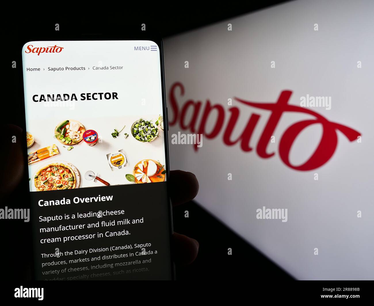 Personne tenant un téléphone cellulaire avec le site Web de la société laitière canadienne Saputo Inc. À l'écran devant le logo. Concentrez-vous sur le centre de l'écran du téléphone. Banque D'Images