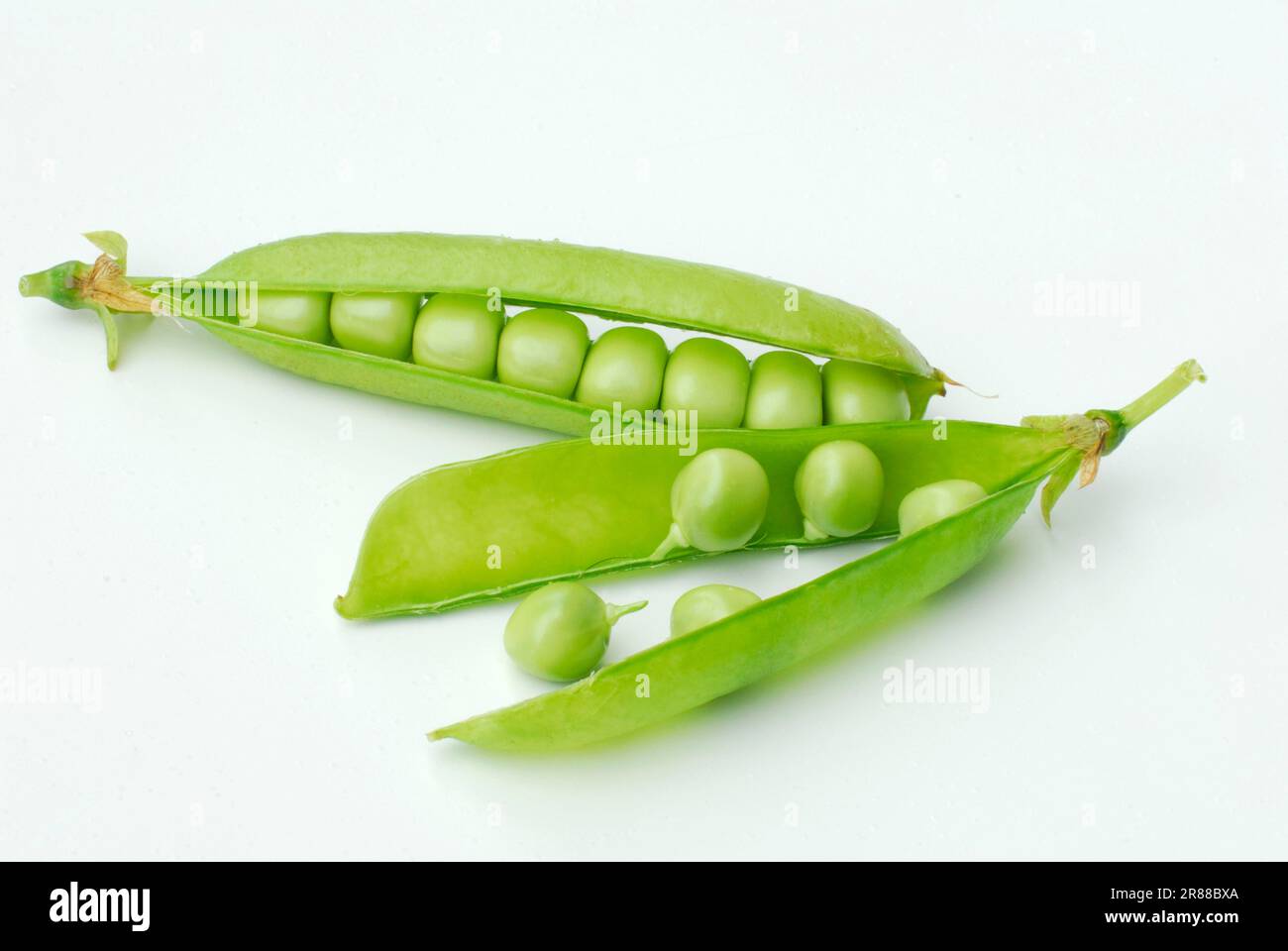 Pois dans la gousse pois (Pisum sativum) pois, gousse de pois Banque D'Images