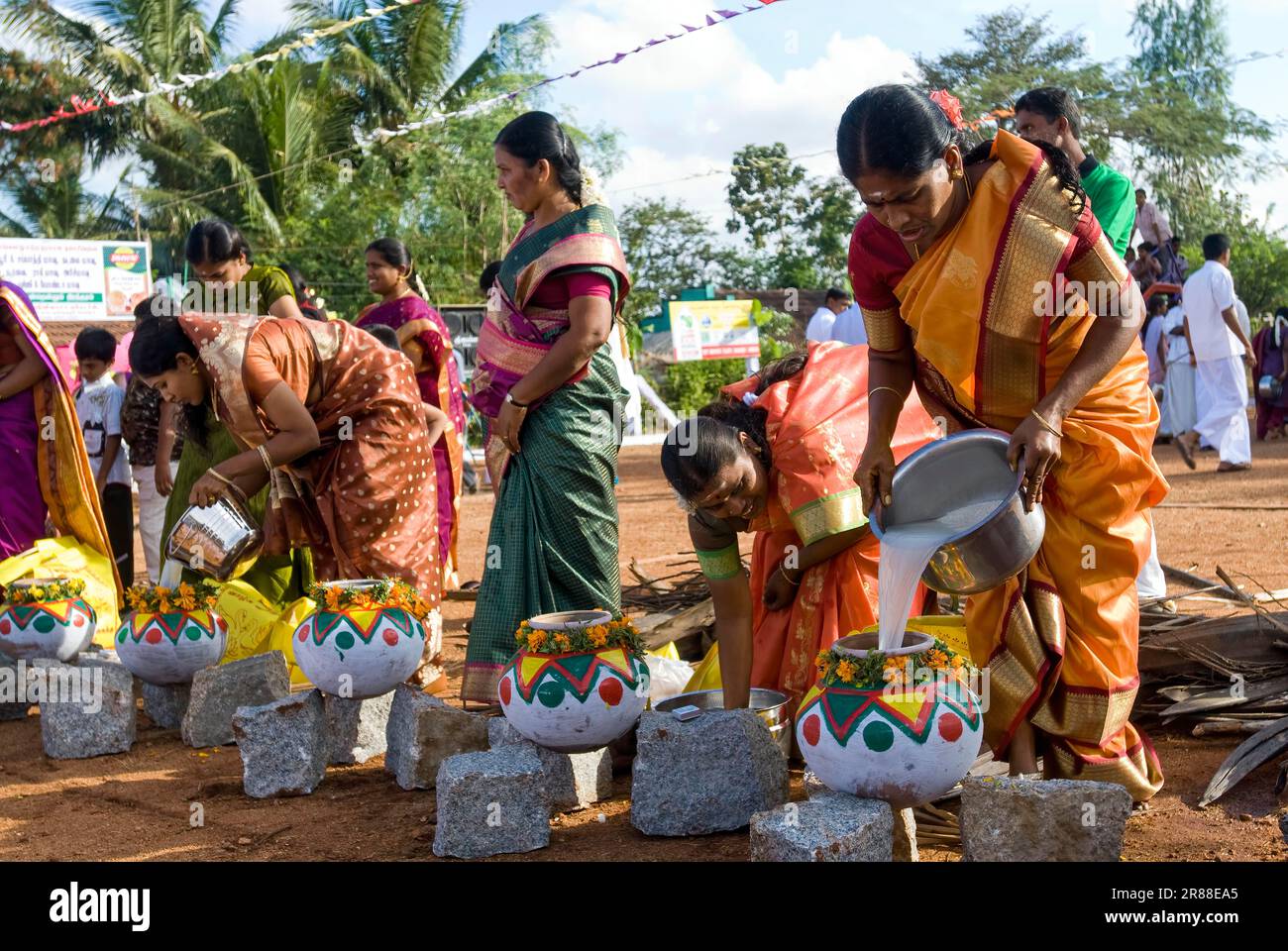 Femmes qui participent à la célébration du Pongal à Polachi, Tamil Nadu, Inde du Sud, Inde, Asie Banque D'Images