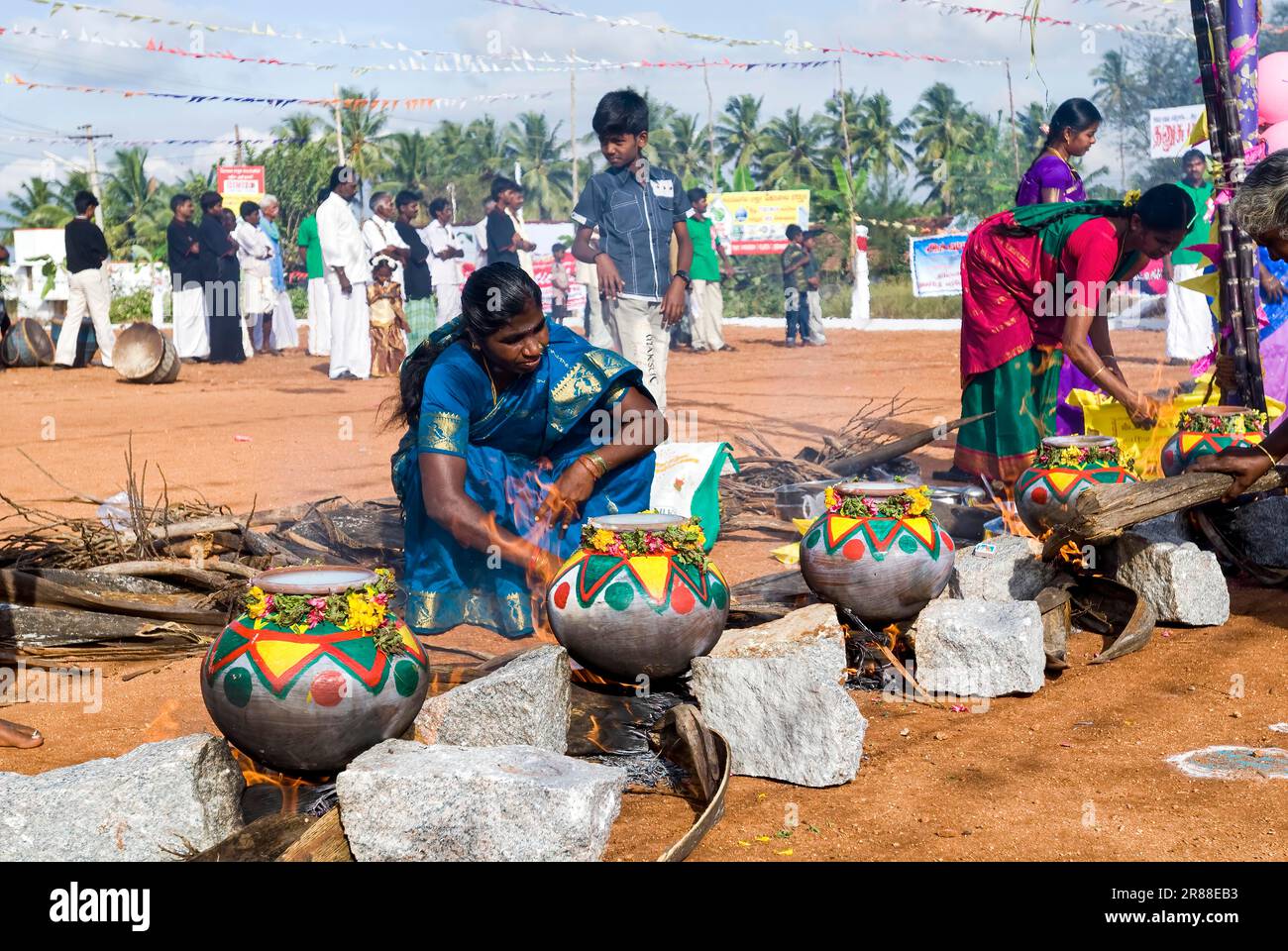 Femmes qui participent à la célébration du Pongal à Polachi, Tamil Nadu, Inde du Sud, Inde, Asie Banque D'Images