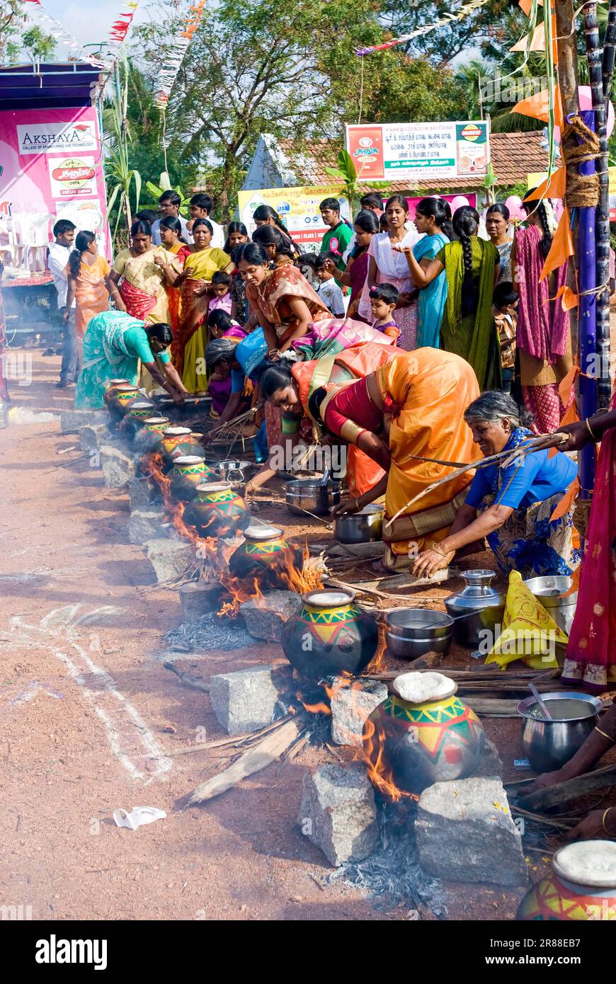 Femmes qui participent à la célébration du Pongal à Polachi, Tamil Nadu, Inde du Sud, Inde, Asie Banque D'Images