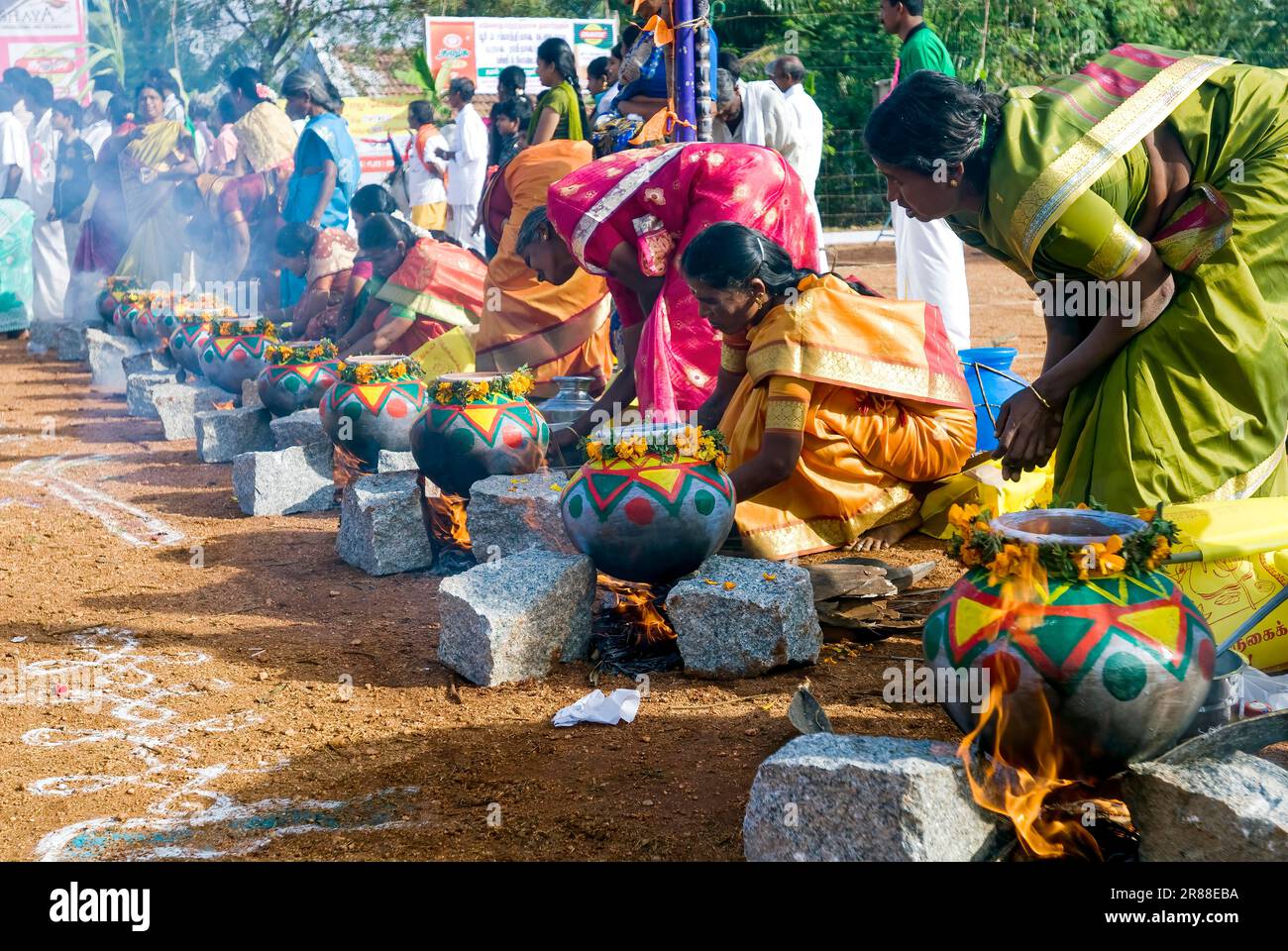 Femmes qui participent à la célébration du Pongal à Polachi, Tamil Nadu, Inde du Sud, Inde, Asie Banque D'Images