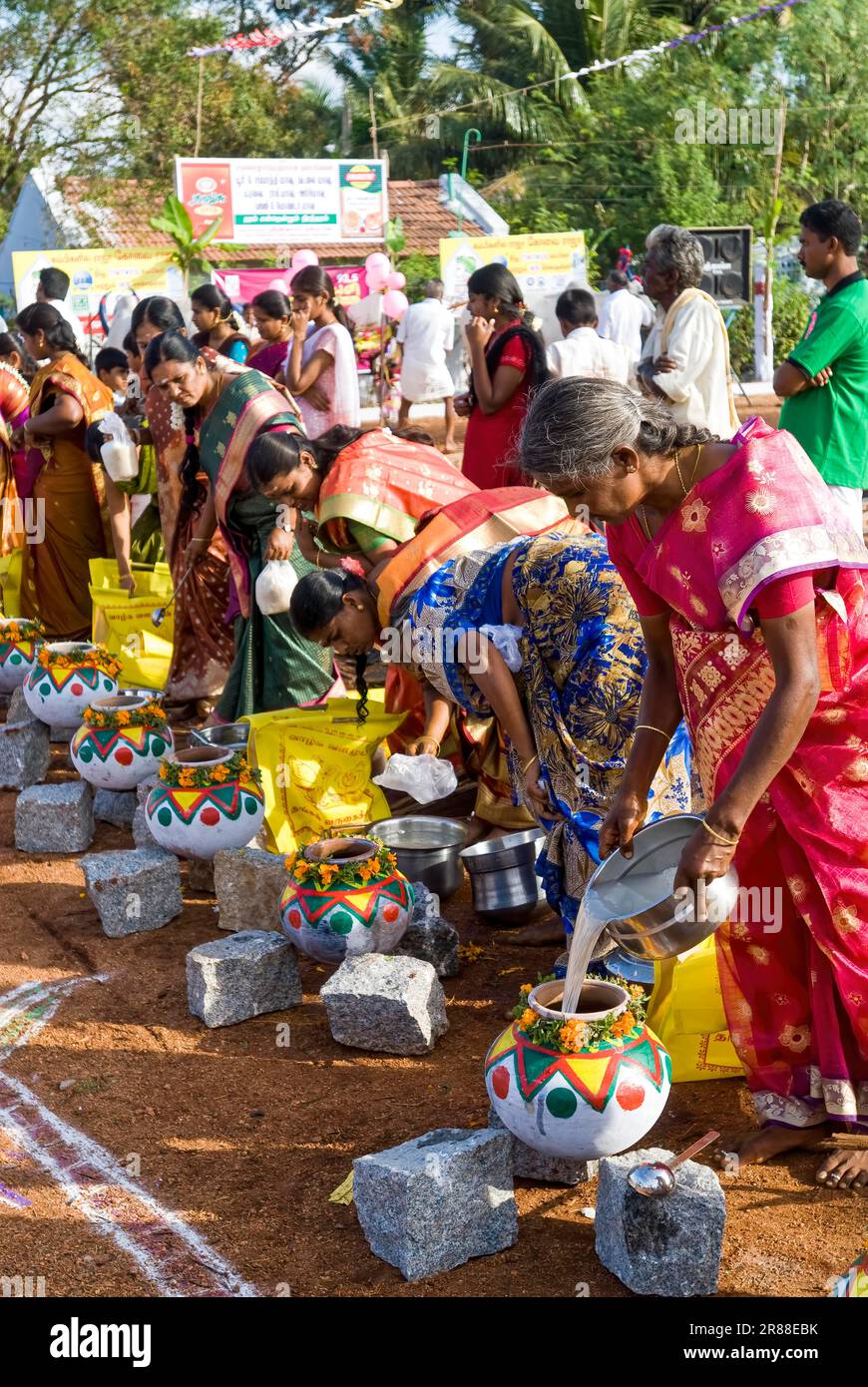 Femmes qui participent à la célébration du Pongal à Polachi, Tamil Nadu, Inde du Sud, Inde, Asie Banque D'Images