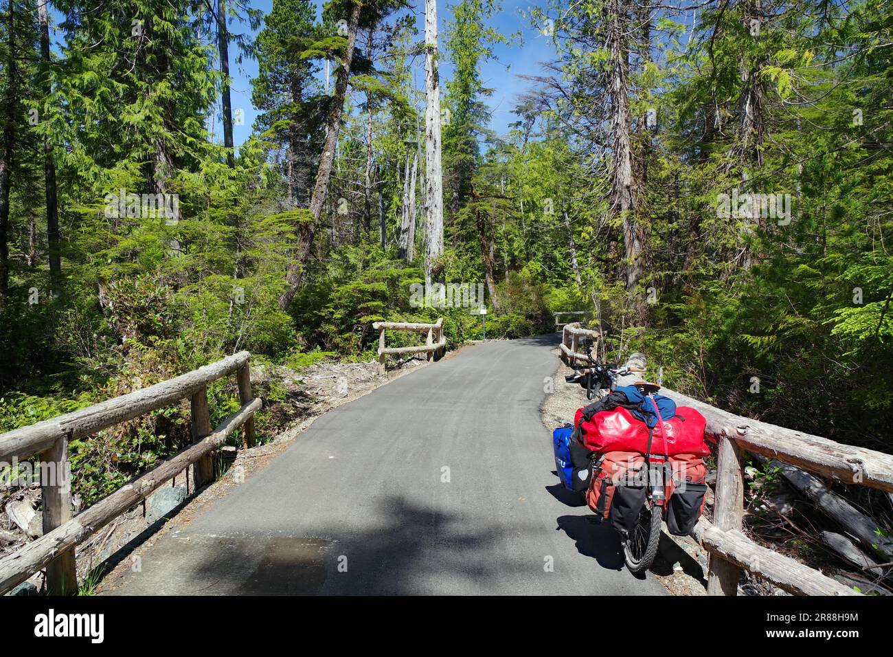 Vélo de tourisme avec bagages sur la nouvelle piste cyclable entre Ucluelet et Tofino, forêt vierge, parc national, Pacifique, île de Vancouver, Britannique Banque D'Images