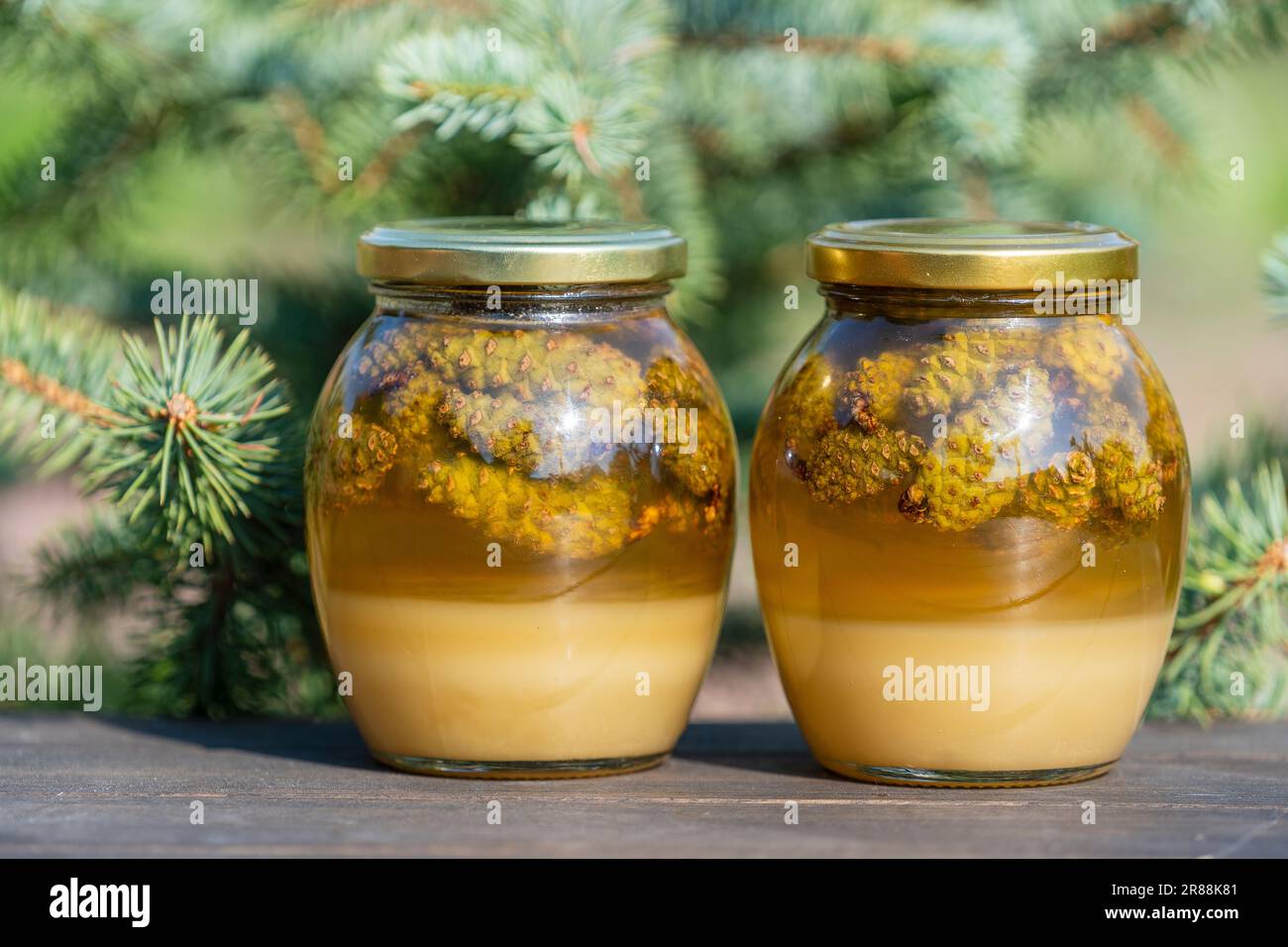 Deux pots en verre de miel frais avec des cônes de pin sur une table en bois, gros plan Banque D'Images