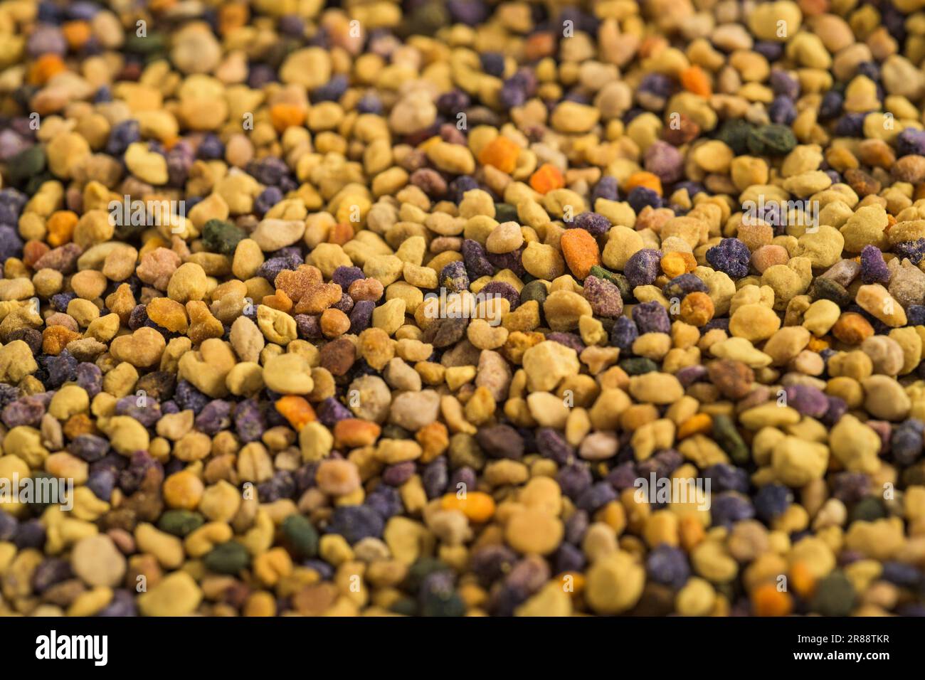 Texture du pollen d'abeille. fond de pollen Banque D'Images