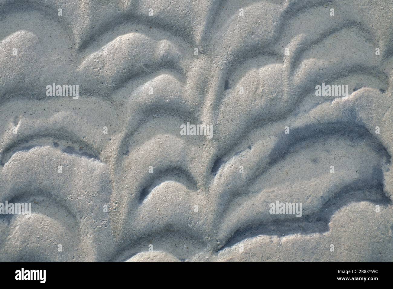 Structure dans le sable fait par les vagues. Vue sur le sol à marée basse. Photo de la nature de la côte Banque D'Images