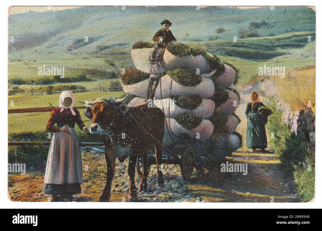 La carte postale vintage imprimée en 1908 représente des femmes paysannes suisses transportant du foin dans un chariot de boeuf. Région de la basse Engadine dans l'est des Alpes suisses dans le canton de GRA Banque D'Images
